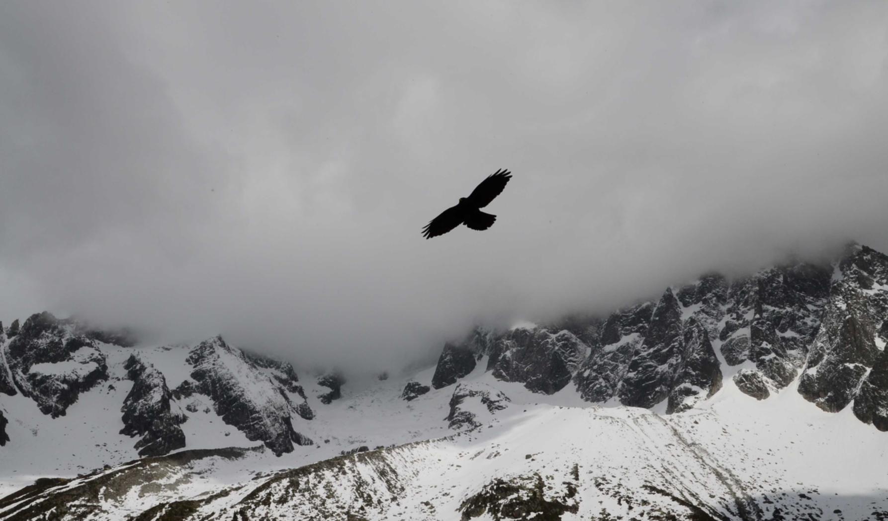 对峙2国际服：英雄时刻app详情下载教程