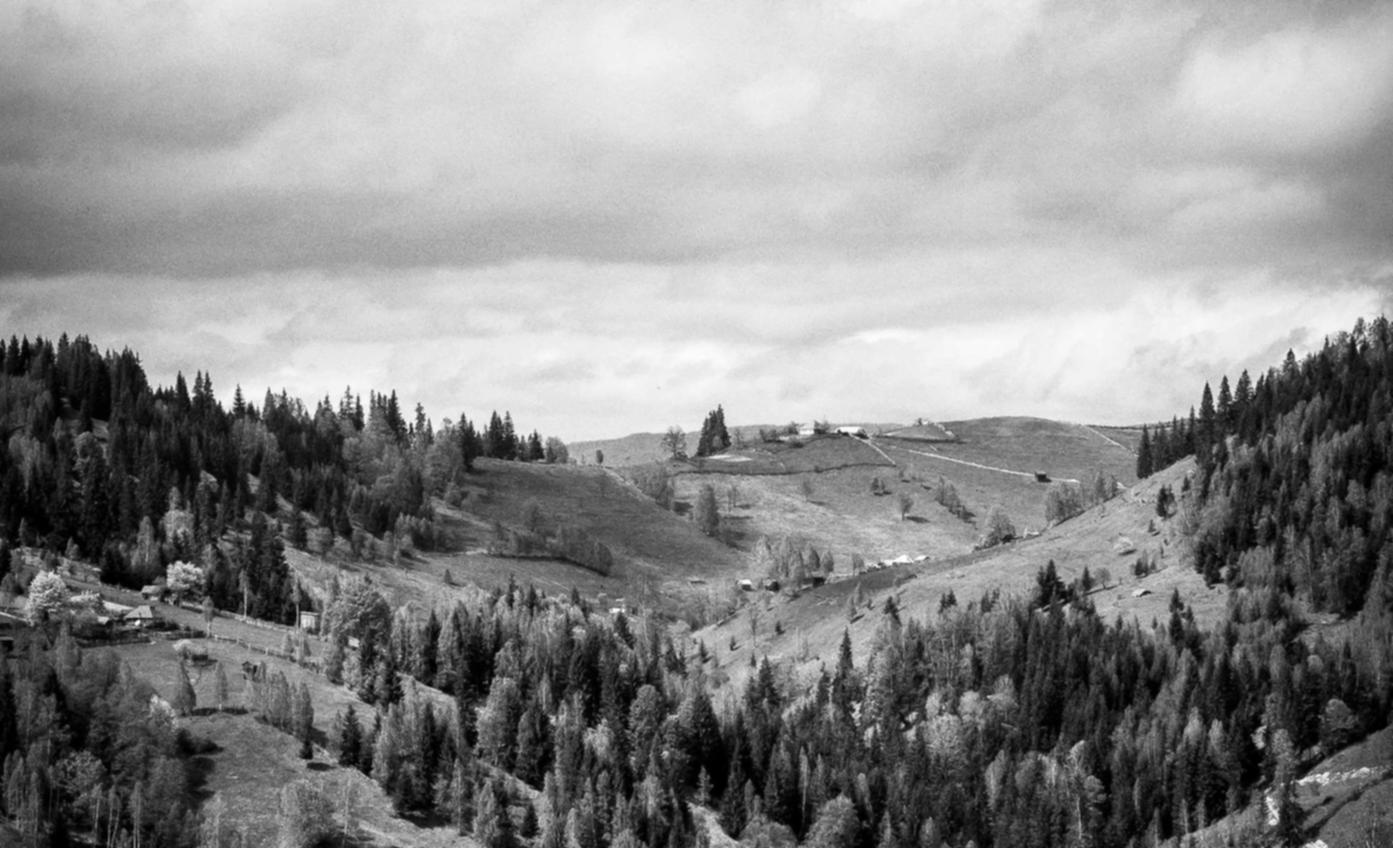 爱喜蓝指南针爆珠:steam皮肤购买平台