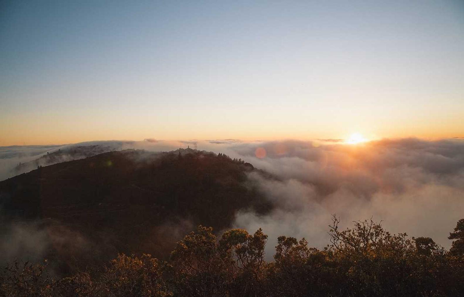 汽车喇叭购买平台哪个好