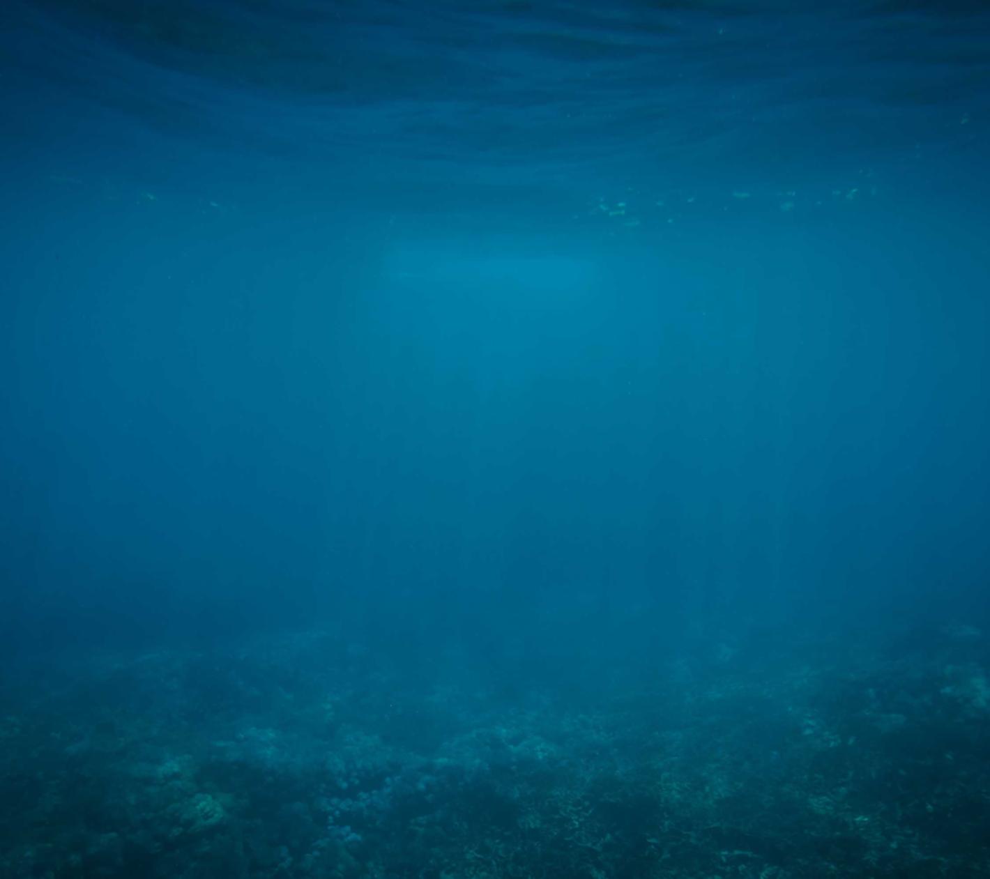 聚星如何在过度媒体消耗时保持精神集中？