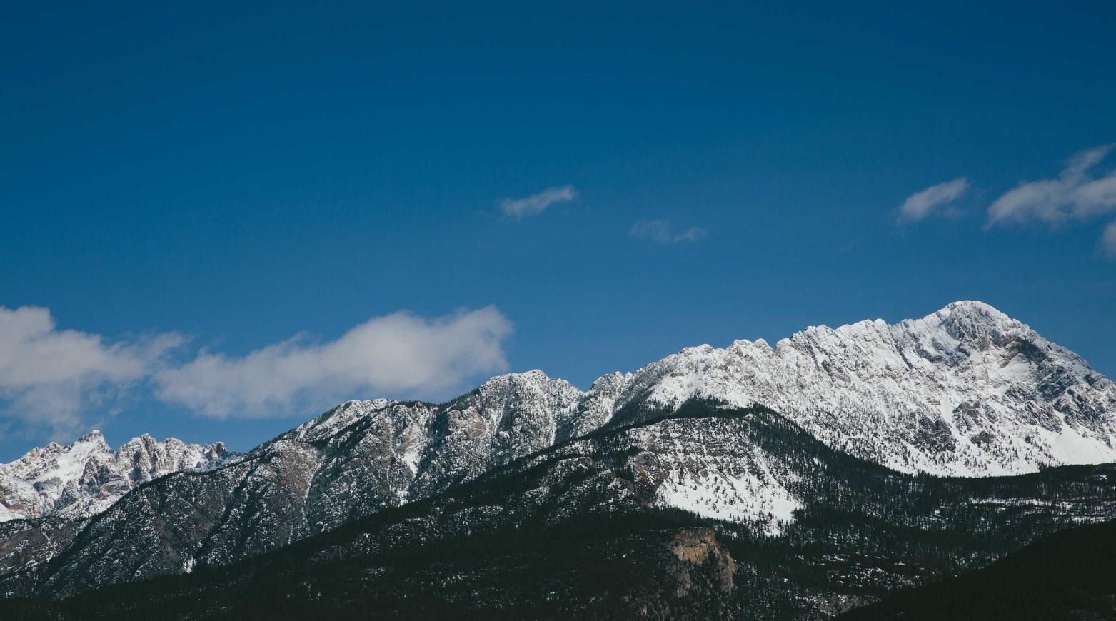 可以通过什么手段杜绝游戏技术支持辅助的存在